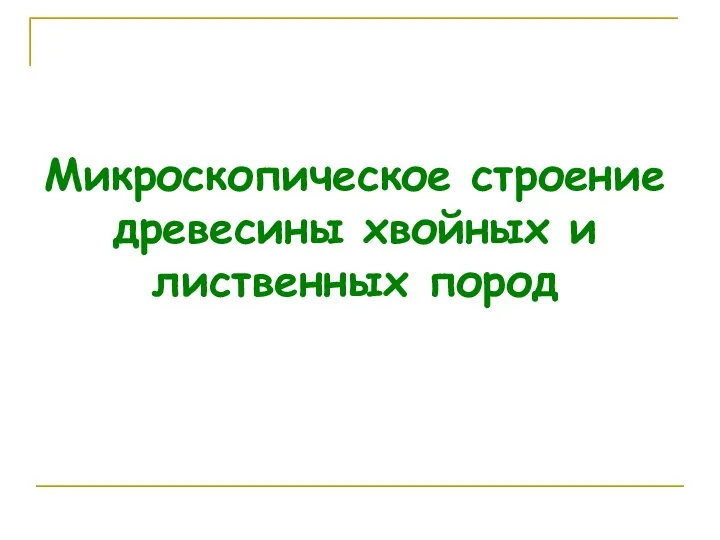 Микроскопическое строение древесины хвойных и лиственных пород