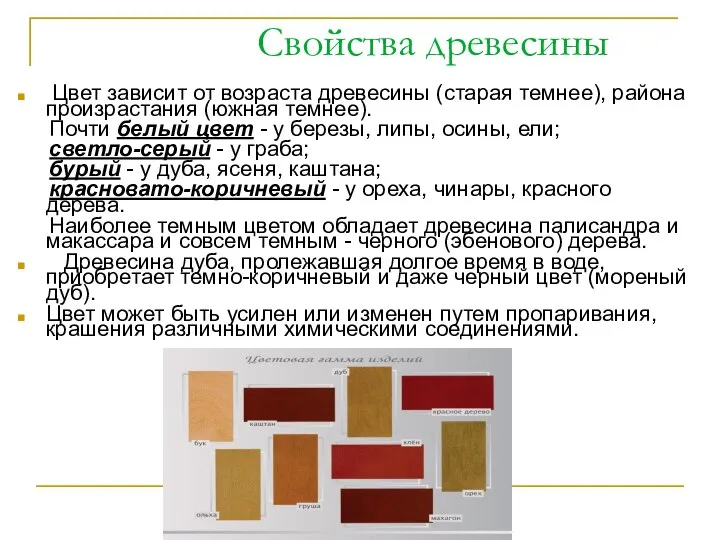 Свойства древесины Цвет зависит от возраста древесины (старая темнее), района произрастания