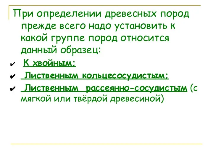 При определении древесных пород прежде всего надо установить к какой группе