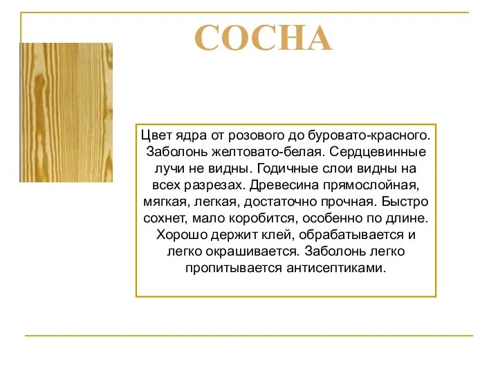 Цвет ядра от розового до буровато-красного. Заболонь желтовато-белая. Сердцевинные лучи не