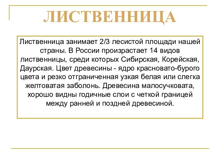 Лиственница занимает 2/3 лесистой площади нашей страны. В России произрастает 14