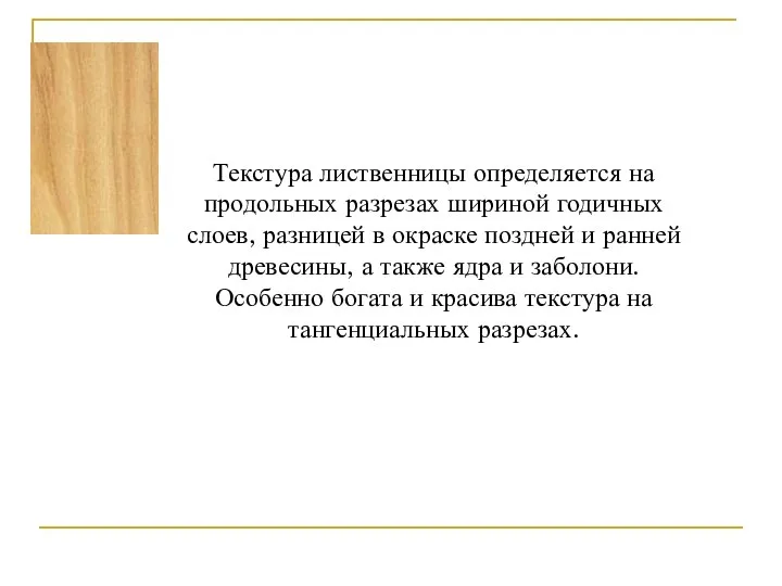 Текстура лиственницы определяется на продольных разрезах шириной годичных слоев, разницей в