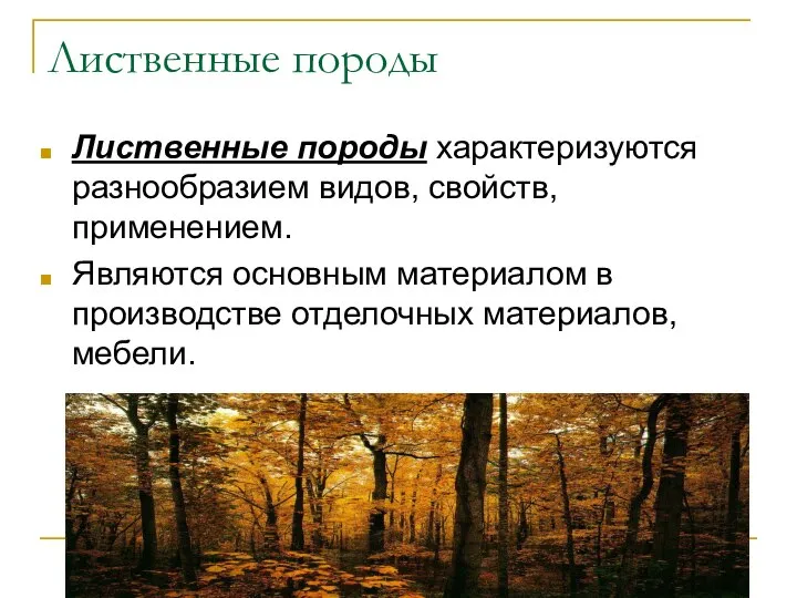 Лиственные породы Лиственные породы характеризуются разнообразием видов, свойств, применением. Являются основным