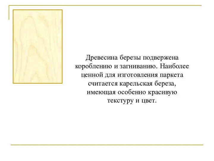 Древесина березы подвержена короблению и загниванию. Наиболее ценной для изготовления паркета