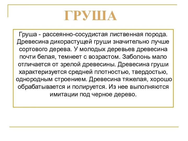 Груша - рассеянно-сосудистая лиственная порода. Древесина дикорастущей груши значительно лучше сортового