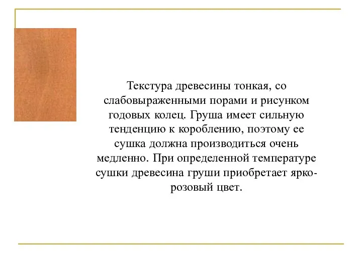 Текстура древесины тонкая, со слабовыраженными порами и рисунком годовых колец. Груша