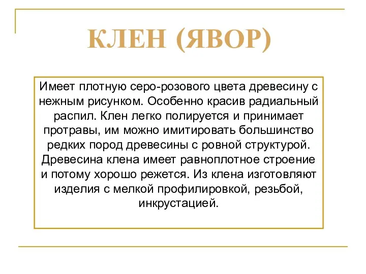 Имеет плотную серо-розового цвета древесину с нежным рисунком. Особенно красив радиальный