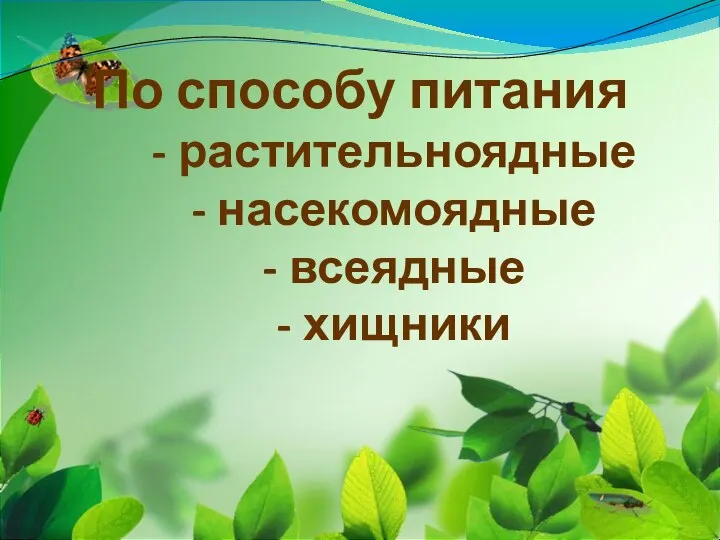 По способу питания - растительноядные - насекомоядные - всеядные - хищники