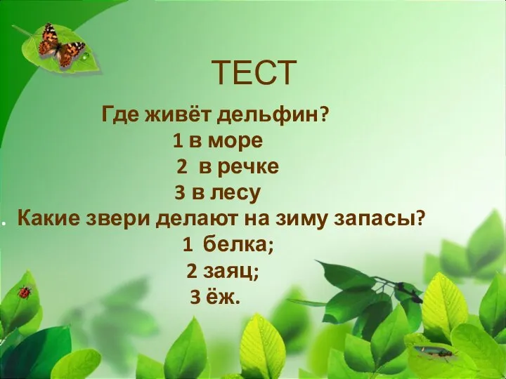 ТЕСТ Где живёт дельфин? 1 в море 2 в речке 3