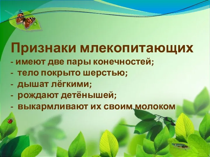 Признаки млекопитающих - имеют две пары конечностей; - тело покрыто шерстью;