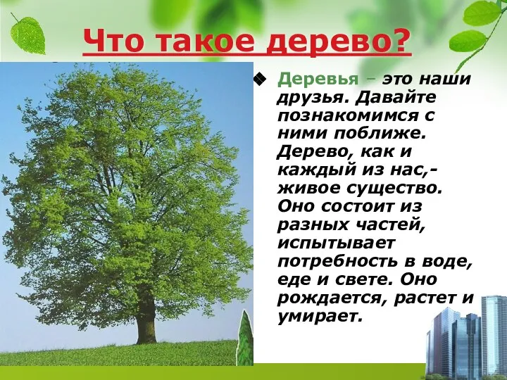 Что такое дерево? Деревья – это наши друзья. Давайте познакомимся с