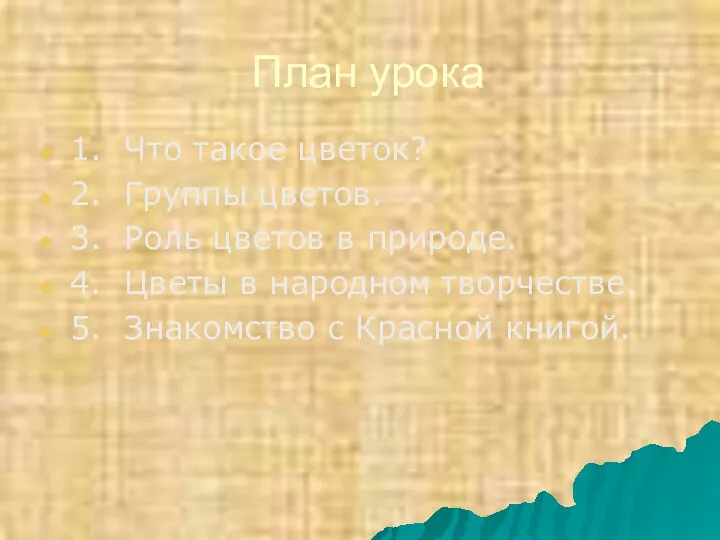 План урока 1. Что такое цветок? 2. Группы цветов. 3. Роль