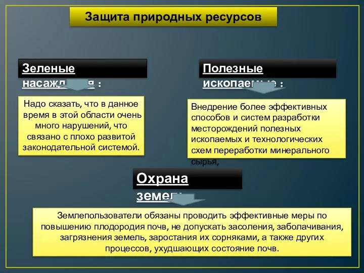 Защита природных ресурсов Зеленые насаждения : Надо сказать, что в данное