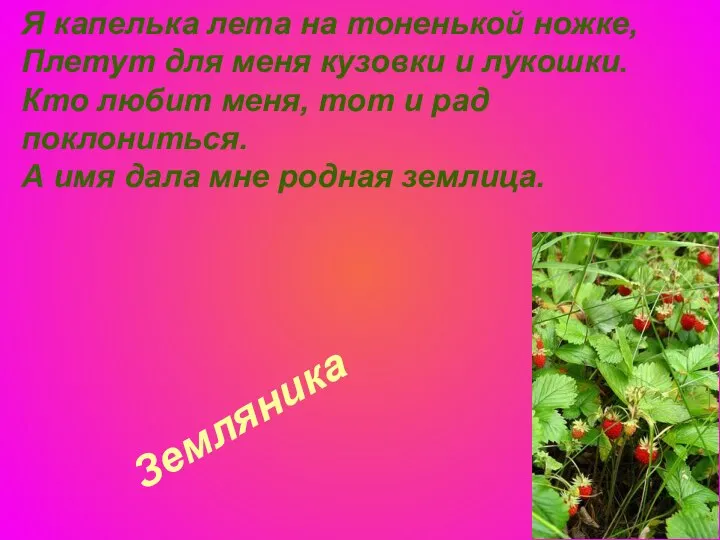 Земляника Я капелька лета на тоненькой ножке, Плетут для меня кузовки