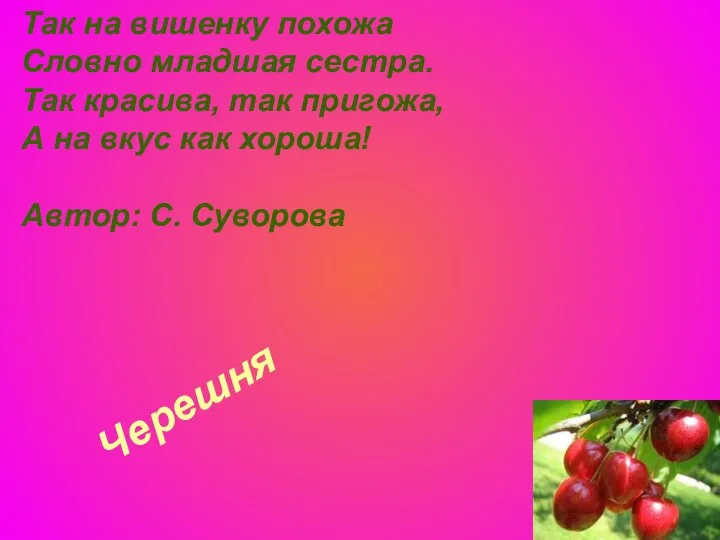 Черешня Так на вишенку похожа Словно младшая сестра. Так красива, так