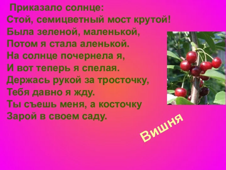 Вишня Приказало солнце: Стой, семицветный мост крутой! Была зеленой, маленькой, Потом