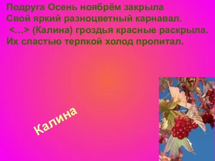 Калина Подруга Осень ноябрём закрыла Свой яркий разноцветный карнавал. (Калина) гроздья