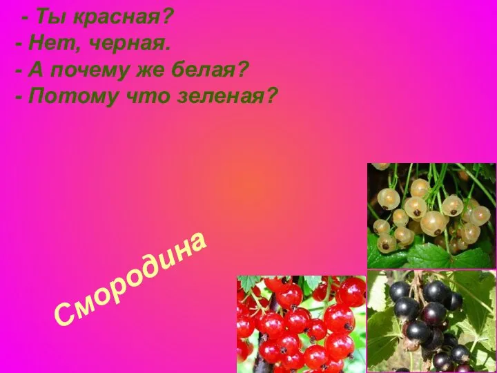 Смородина - Ты красная? - Нет, черная. - А почему же белая? - Потому что зеленая?