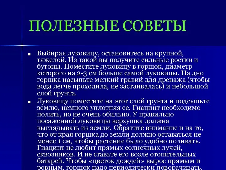 ПОЛЕЗНЫЕ СОВЕТЫ Выбирая луковицу, остановитесь на крупной, тяжелой. Из такой вы