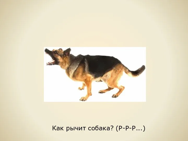 Как рычит собака? (Р-Р-Р...)