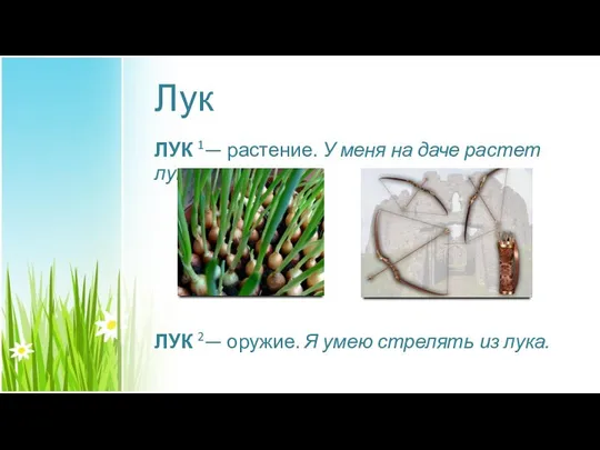 Лук ЛУК 1— растение. У меня на даче растет лук. ЛУК