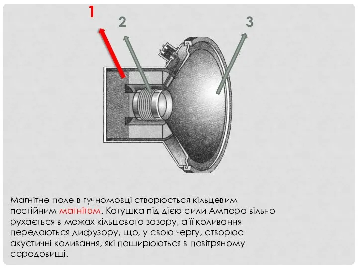 Магнітне поле в гучномовці створюється кільцевим постійним магнітом. Котушка під дією