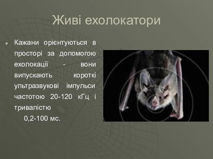 Живі ехолокатори Кажани орієнтуються в просторі за допомогою ехолокації - вони