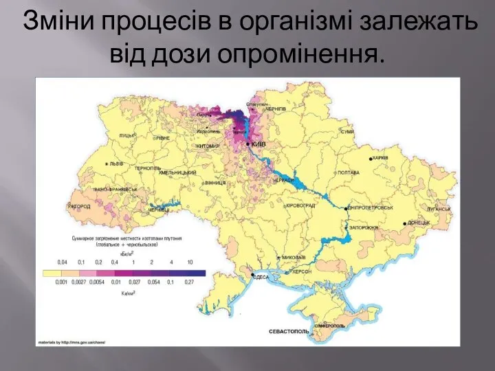 Зміни процесів в організмі залежать від дози опромінення.