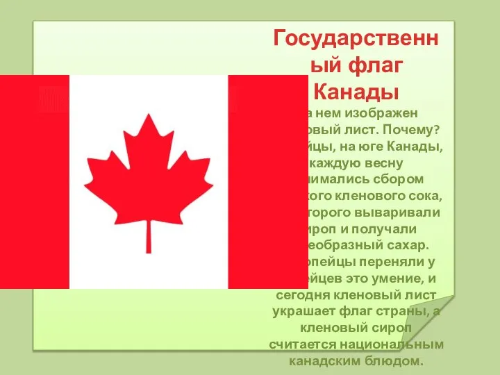 Государственный флаг Канады На нем изображен кленовый лист. Почему? Индейцы, на