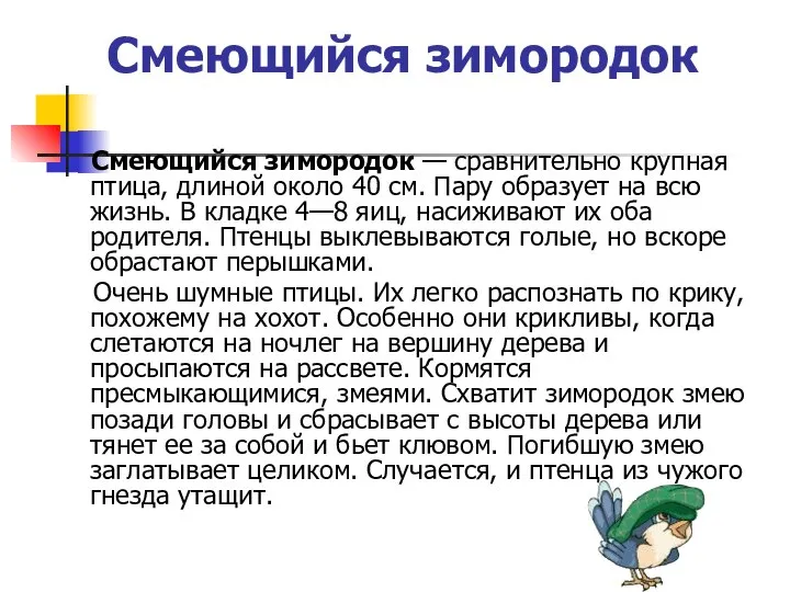 Смеющийся зимородок Смеющийся зимородок — сравнительно крупная птица, длиной около 40