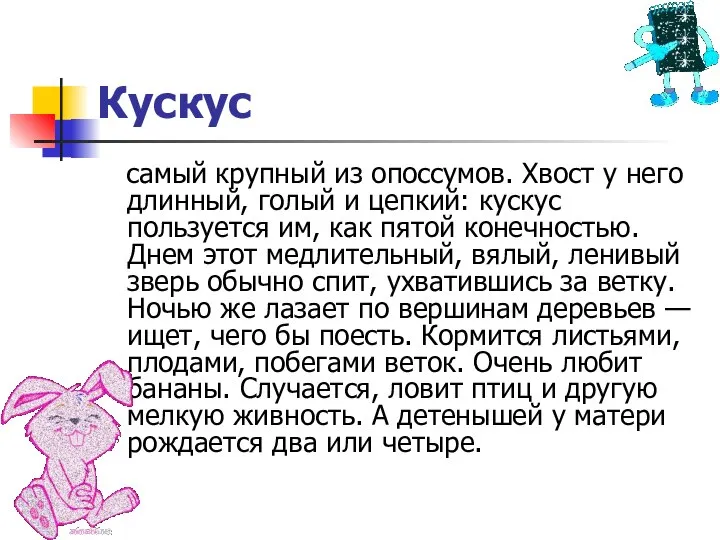 Кускус самый крупный из опоссумов. Хвост у него длинный, голый и