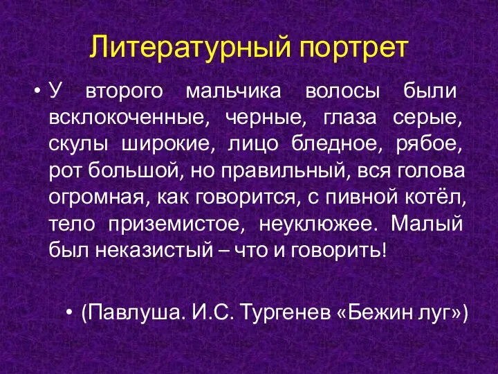 Литературный портрет У второго мальчика волосы были всклокоченные, черные, глаза серые,