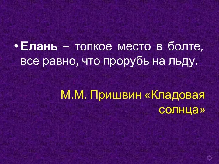 Елань – топкое место в болте, все равно, что прорубь на льду. М.М. Пришвин «Кладовая солнца»