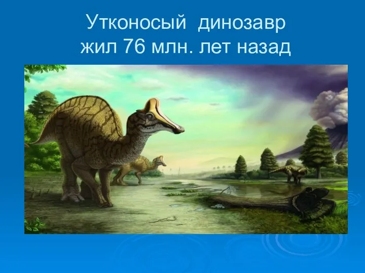 Утконосый динозавр жил 76 млн. лет назад