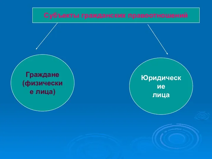 Субъекты гражданских правоотношений Граждане (физические лица) Юридические лица