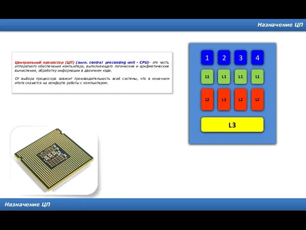 Назначение ЦП Назначение ЦП Центральный процессор (ЦП) (англ. central processing unit