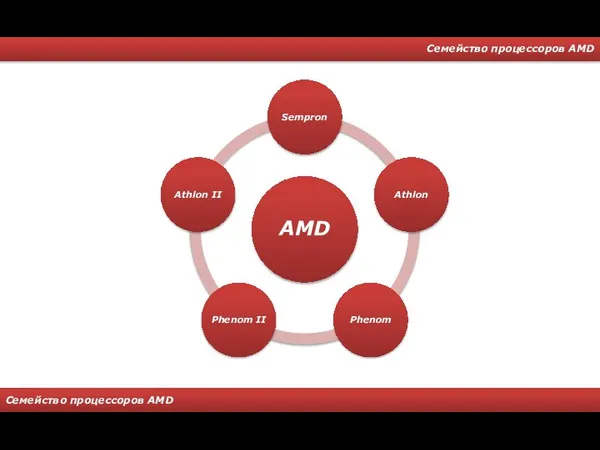 Семейство процессоров AMD Семейство процессоров AMD