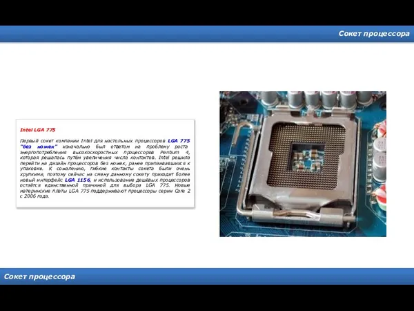 Сокет процессора Сокет процессора Intel LGA 775 Первый сокет компании Intel