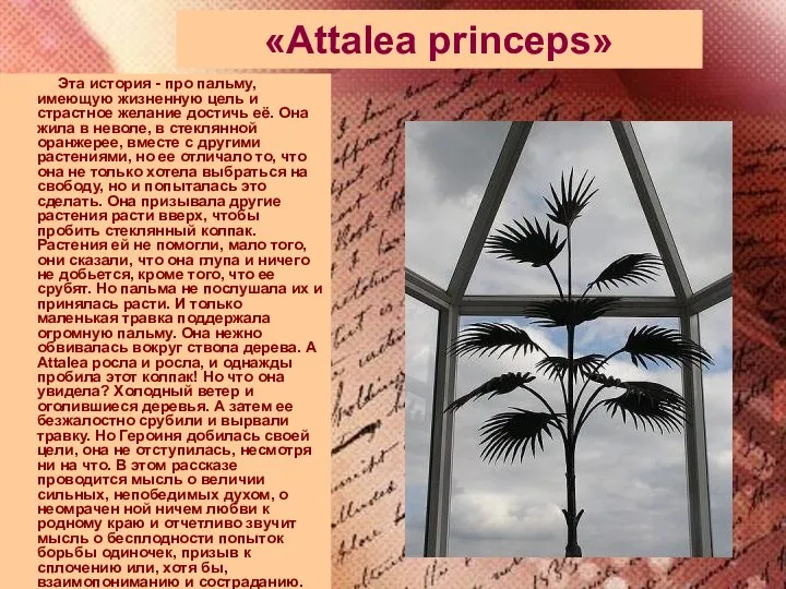 «Attalea princeps» Эта история - про пальму, имеющую жизненную цель и