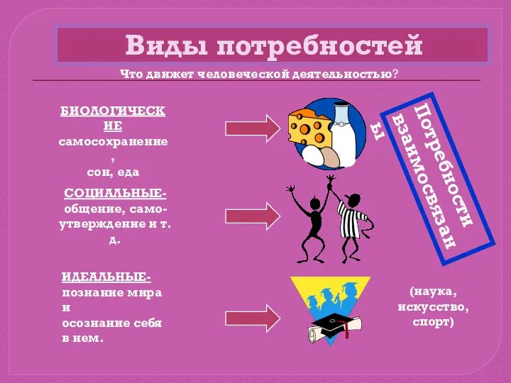 Виды потребностей Что движет человеческой деятельностью? Потребности взаимосвязаны