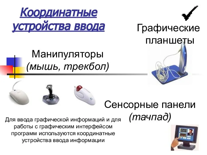 Манипуляторы (мышь, трекбол) Сенсорные панели (тачпад) Графические планшеты Для ввода графической