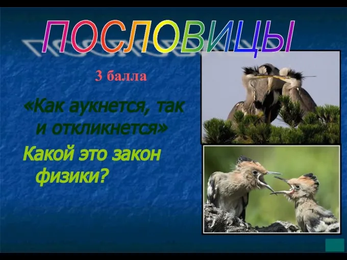 «Как аукнется, так и откликнется» Какой это закон физики? ПОСЛОВИЦЫ 3 балла