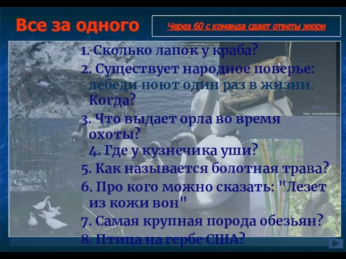 Все за одного 1. Сколько лапок у краба? 2. Существует народное