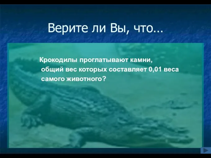 Верите ли Вы, что… Крокодилы проглатывают камни, общий вес которых составляет 0,01 веса самого животного?