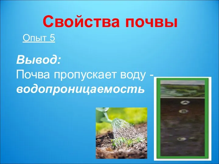 Свойства почвы Опыт 5 Вывод: Почва пропускает воду - водопроницаемость