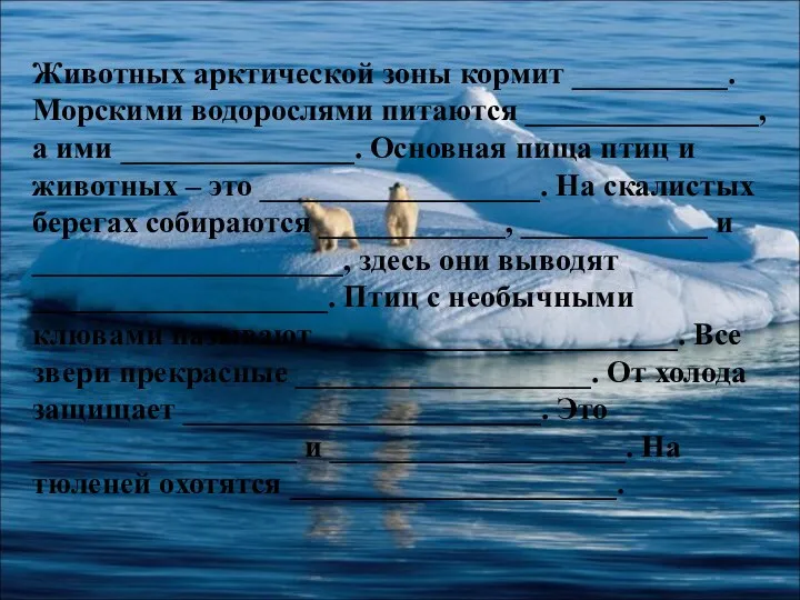 Животных арктической зоны кормит __________. Морскими водорослями питаются _______________, а ими