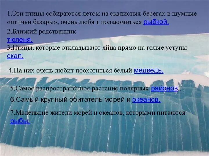 1.Эти птицы собираются летом на скалистых берегах в шумные «птичьи базары»,