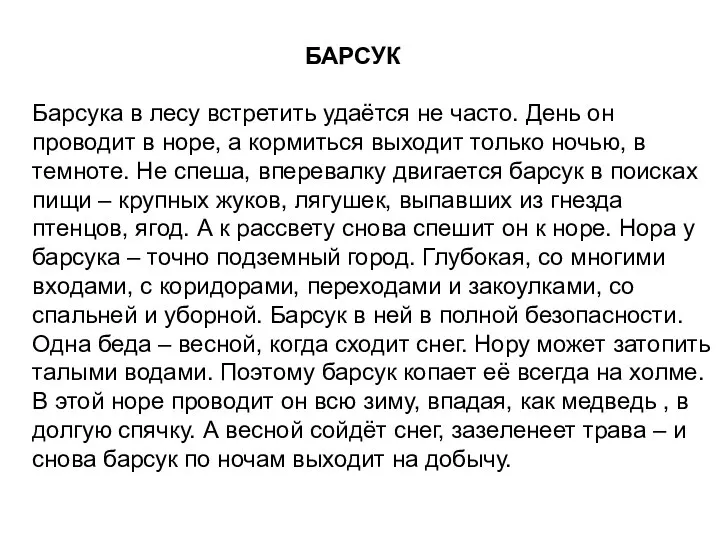 БАРСУК Барсука в лесу встретить удаётся не часто. День он проводит