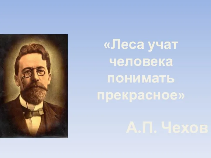 «Леса учат человека понимать прекрасное» А.П. Чехов