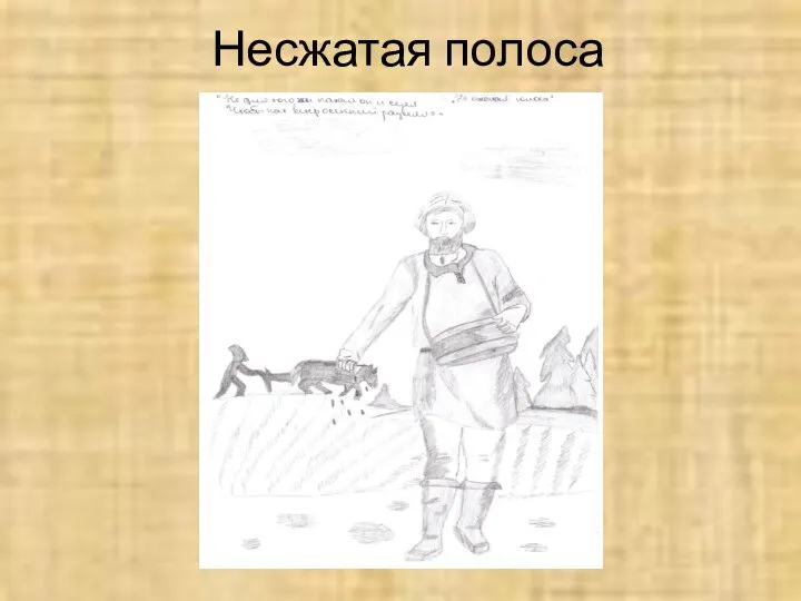 Несжатая полоса